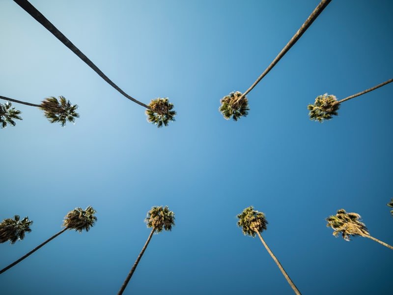 5 Chocolate Experiences to Try in LA - ChocoVivo