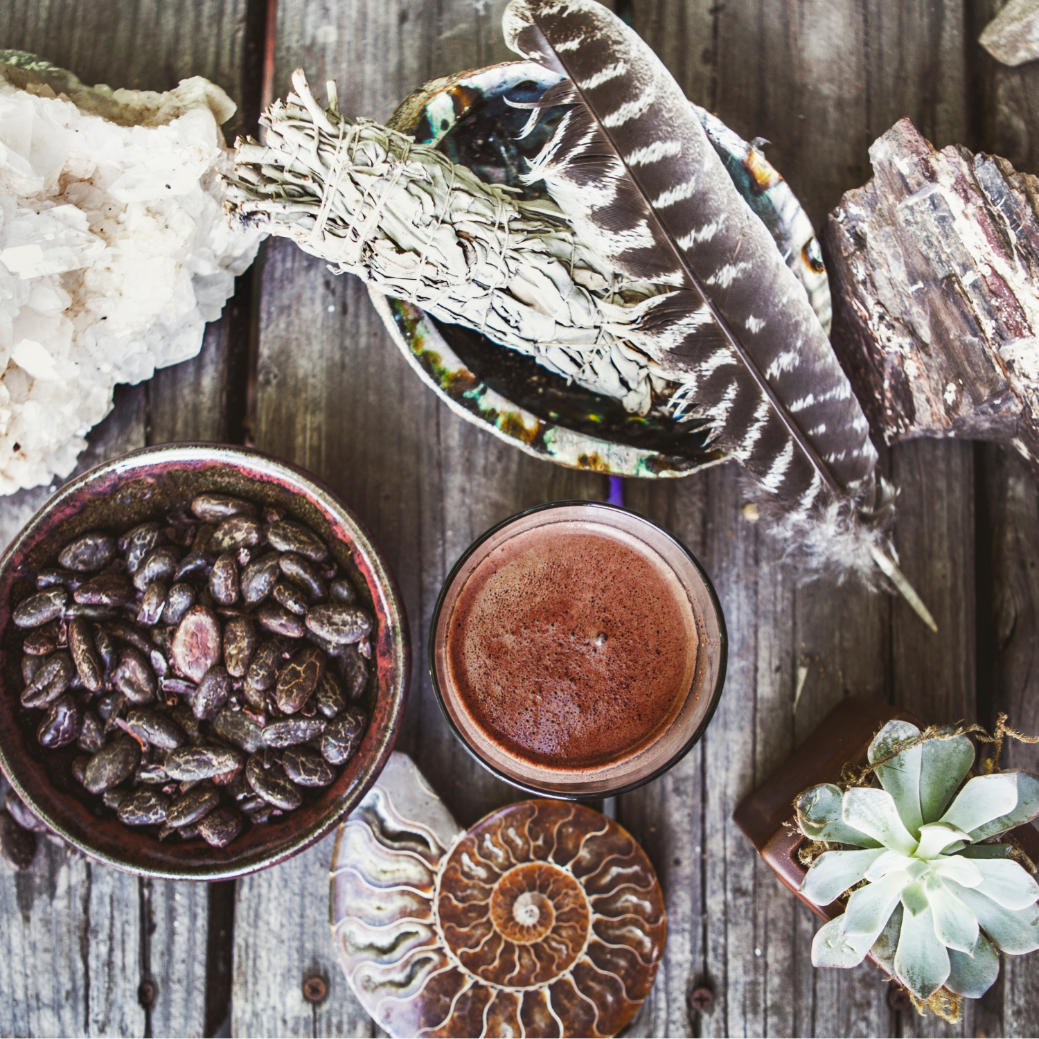 Cacao Ceremony, cups of drinking chocolate, dark chocolate pieces, cacao beans