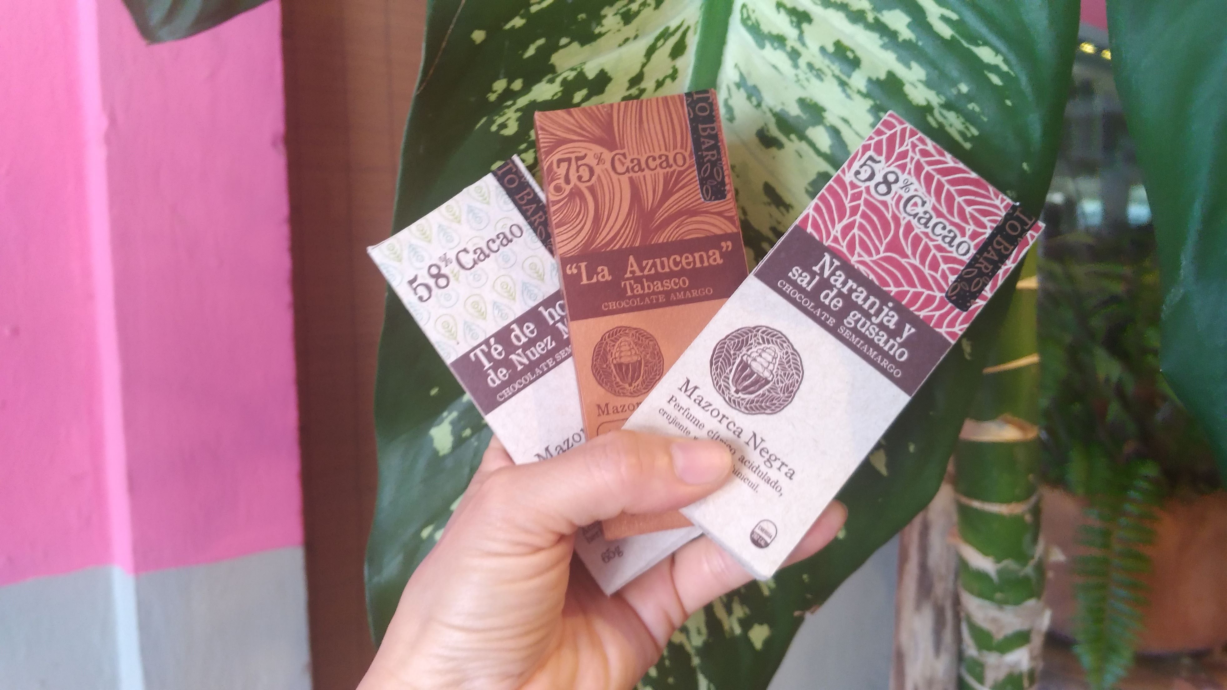 BEAN-TO-BAR CHOCOLATE TASTING