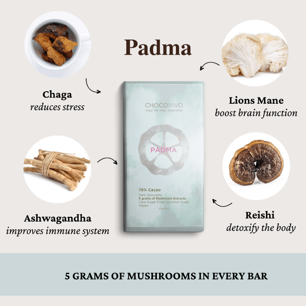 Padma Mushroom Dark Chocolate Bar - Reishi, Ashwagandha, Lions Mane, Chaga