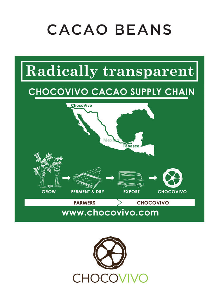 Cacao Beans Origin and ChocoVivo Supply Chain