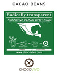 Cacao Beans Origin and ChocoVivo Supply Chain