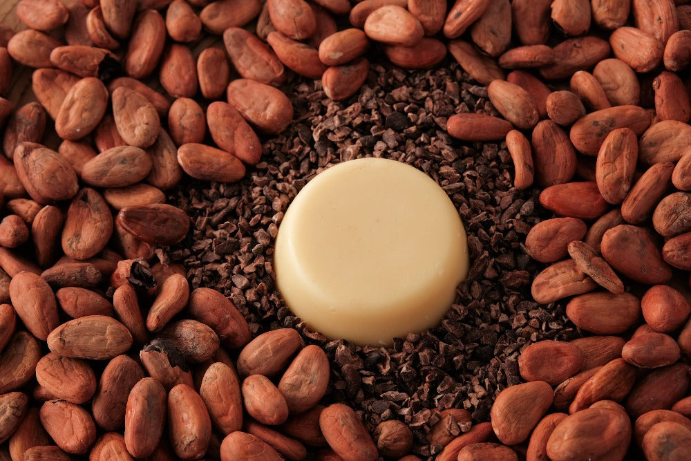 Cacao Lotion Bar