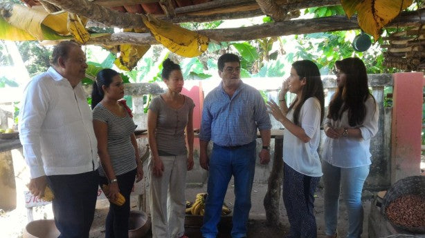 Vicente - Master Cacao Farmer Grower