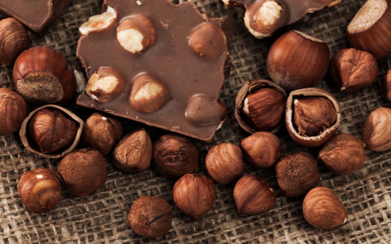 A Match Made In Heaven Unveiling The Magic Of Hazelnut Chocolate a-match-made-in-heaven-unveiling-the-magic-of-hazelnut-chocolate