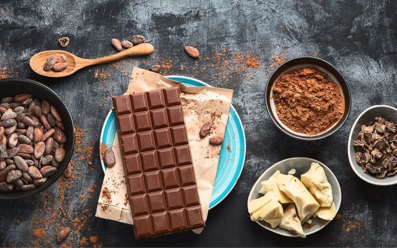 The Ultimate Guide to Making Mushroom Chocolate Bars – ChocoVivo