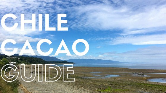 Top 5 Things to do in the Chilean Lake District - ChocoVivo