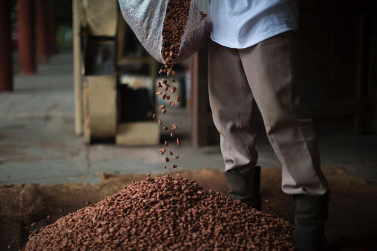 Beurre de Cacao 100% - Type Désodorisé - Sachet 250g - Usage