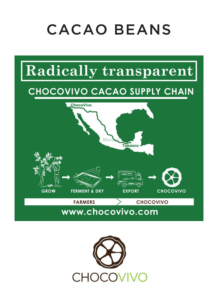 Cacao Beans Origin and ChocoVivo Supply Chain 
