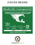 Cacao Beans Origin and ChocoVivo Supply Chain 